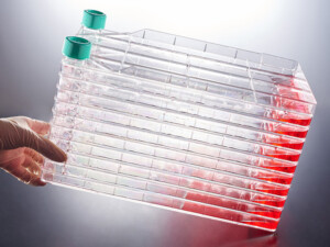 CellFac Multi-Layer Cell Culture System4