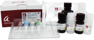 SARS-CoV-2 IgG ELISA Kit, Nucleocapsid