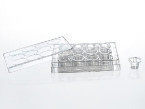 Tissue Culture Plate Inserts 12-well