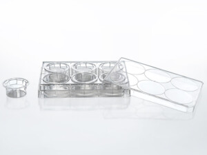 Tissue Culture Plate Inserts 6-well