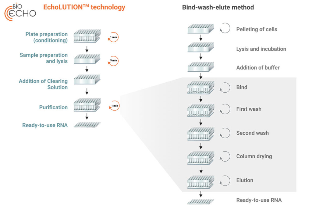 Workflow-Cell-Culture-RNA-Kit_